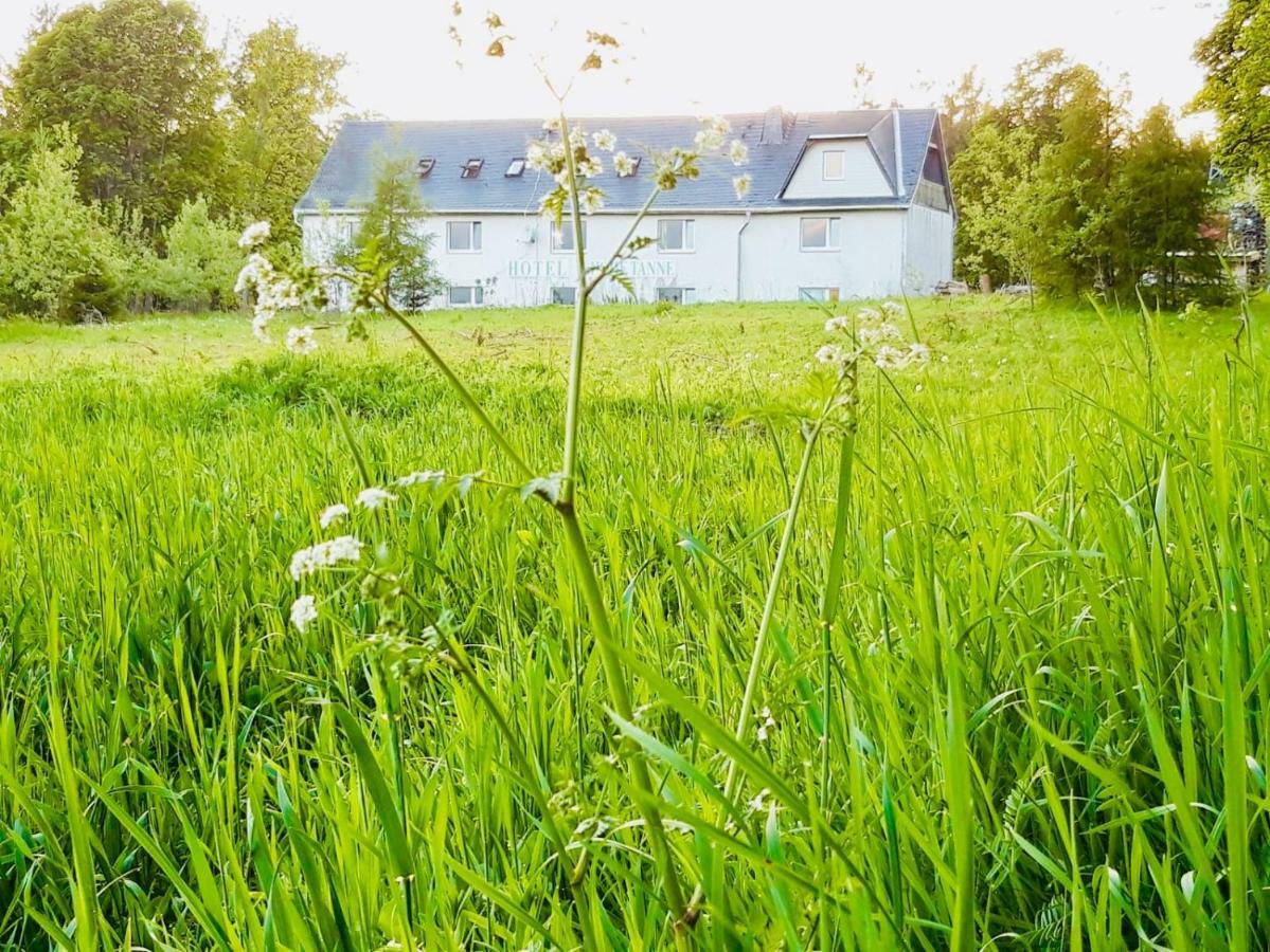 Gaestehaus Hohetanne1 Grossbreitenbach Экстерьер фото